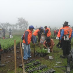 Reforestación en Nahualá