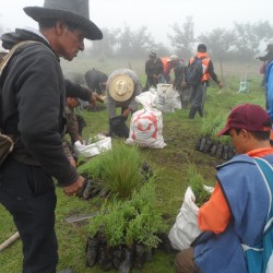 Reforestación en Nahualá