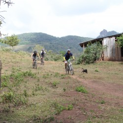 Ciclistas con perro